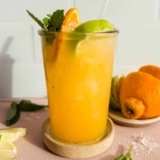 Coconut Citrus Nature’s Gatorade – Fit Foodie Finds